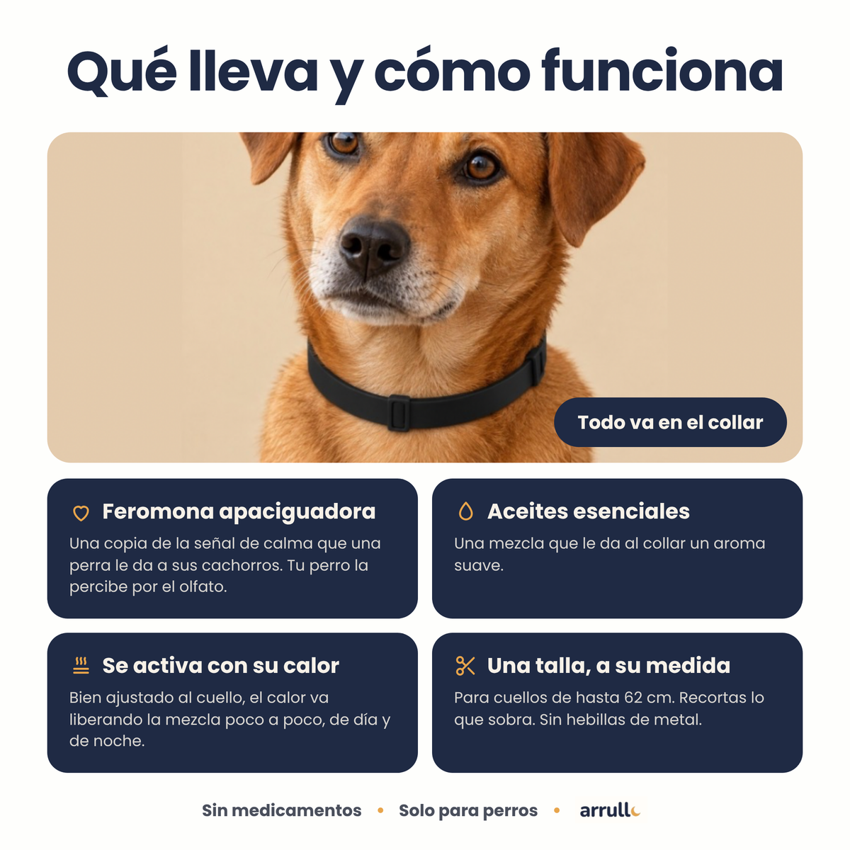 Arrullo® Collar Calmante