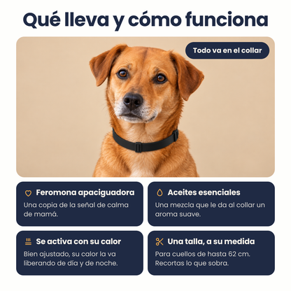 Arrullo® Collar Calmante