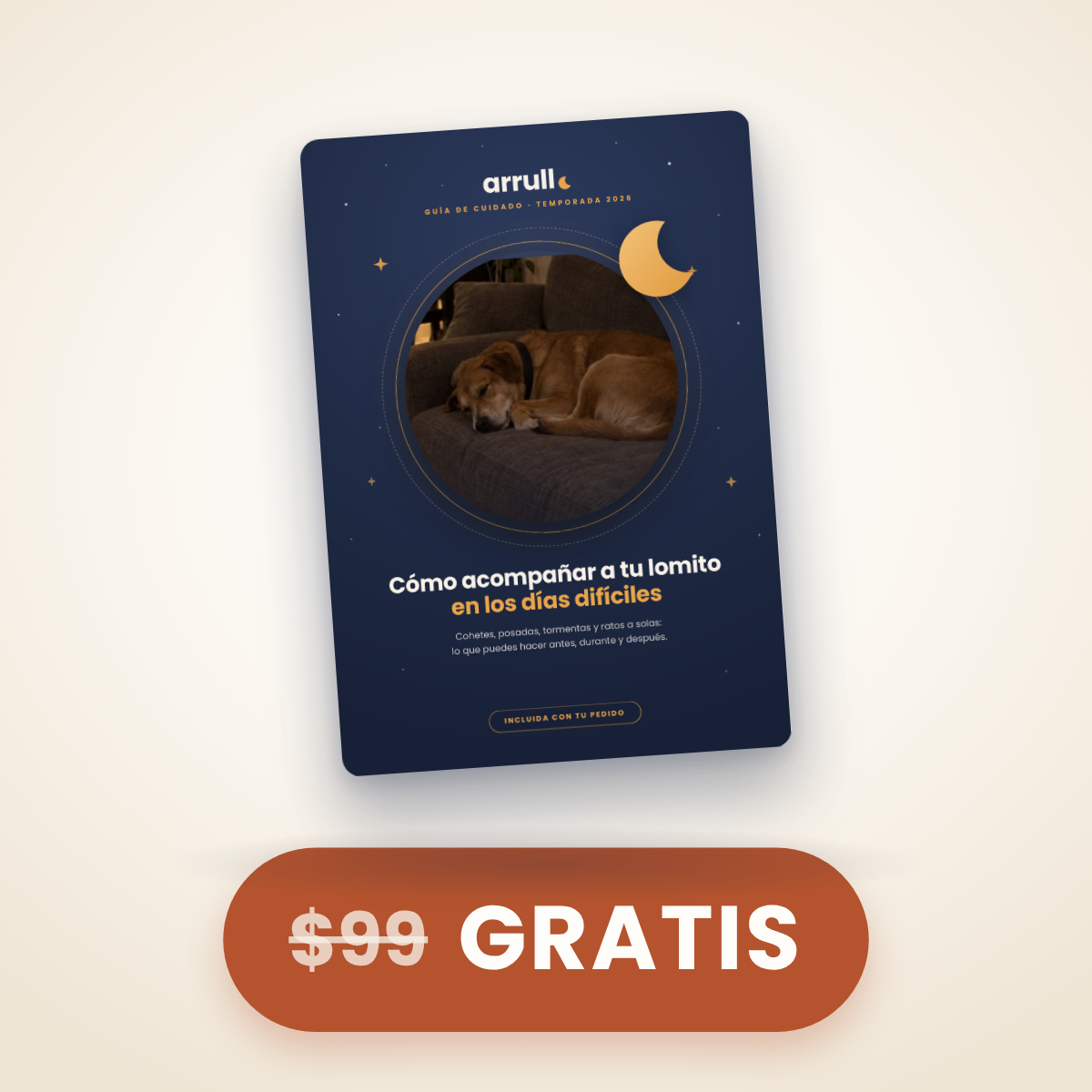 Guía paso a paso