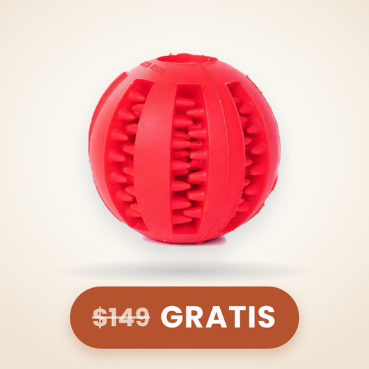 Pelota rellenable