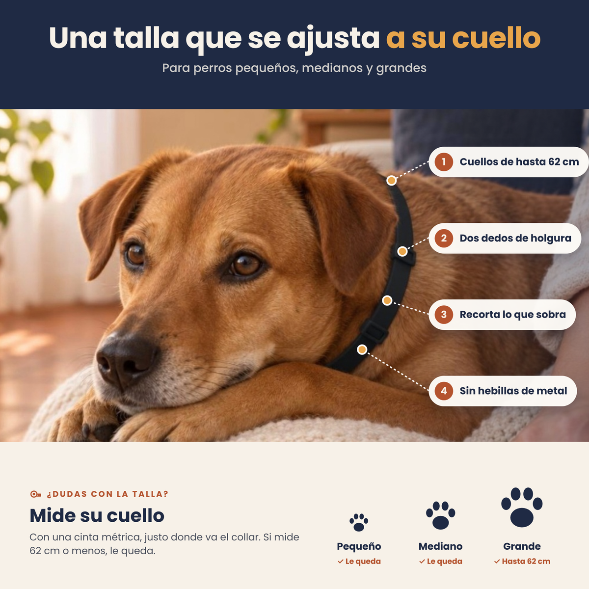 Arrullo® Collar Calmante