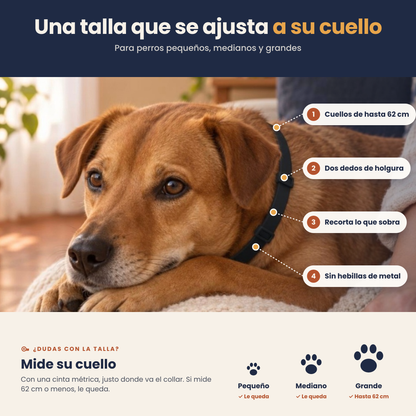 Arrullo® Collar Calmante