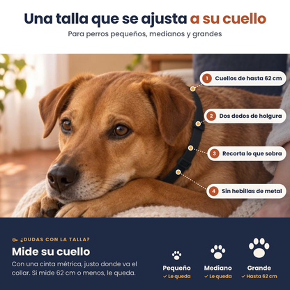 Arrullo® Collar Calmante